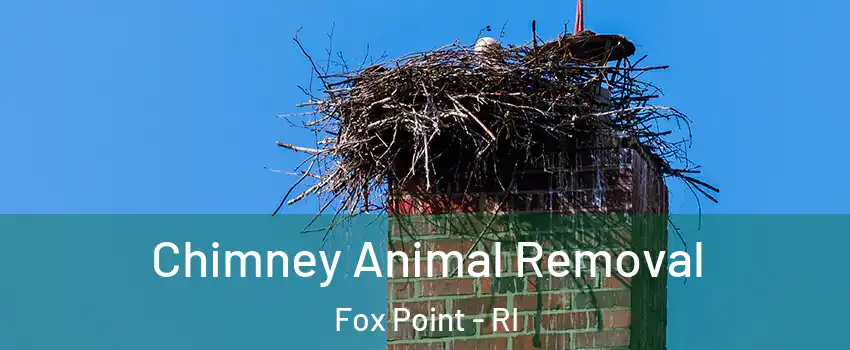 Chimney Animal Removal Fox Point - RI