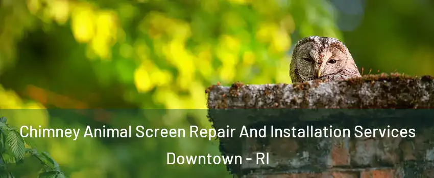 Chimney Animal Screen Repair And Installation Services Downtown - RI