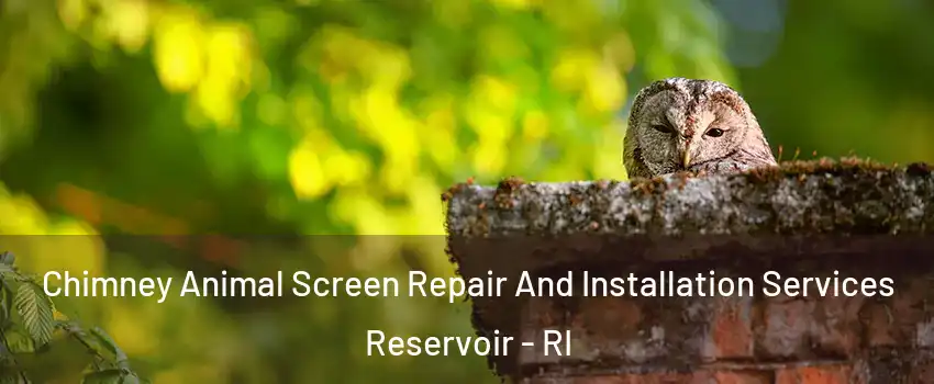 Chimney Animal Screen Repair And Installation Services Reservoir - RI