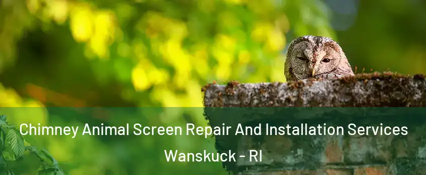 Chimney Animal Screen Repair And Installation Services Wanskuck - RI