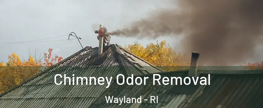 Chimney Odor Removal Wayland - RI