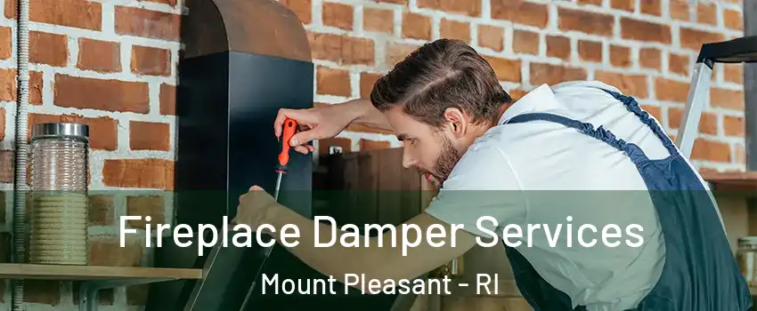 Fireplace Damper Services Mount Pleasant - RI