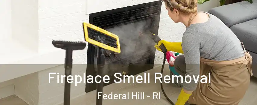Fireplace Smell Removal Federal Hill - RI