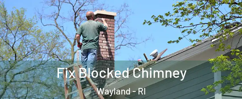Fix Blocked Chimney Wayland - RI
