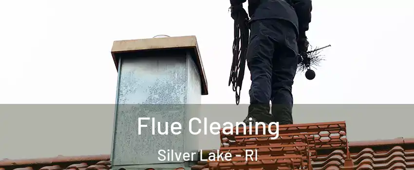 Flue Cleaning Silver Lake - RI