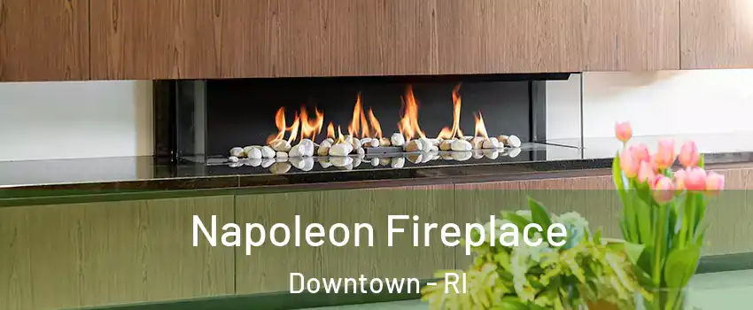 Napoleon Fireplace Downtown - RI
